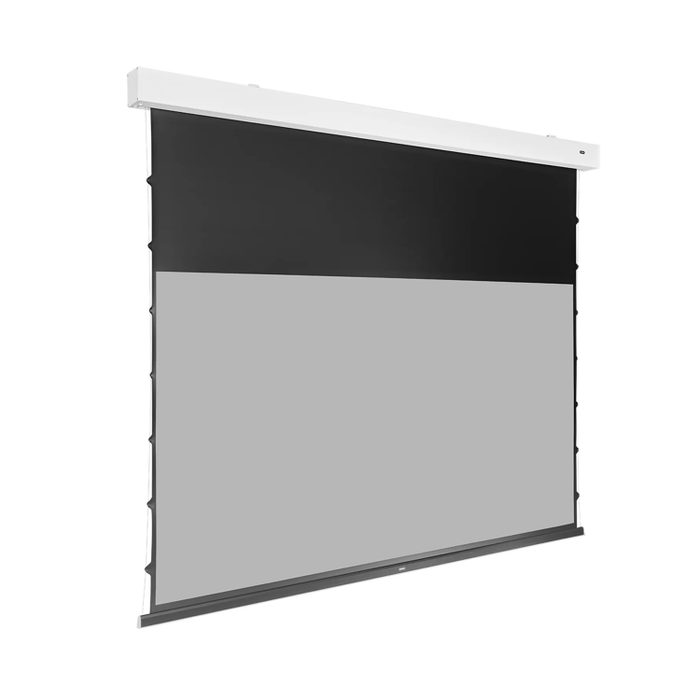 Celexon Greyvision Premium Plus Leinwand Motor Tension 221 x 124 cm - 100" --- 1