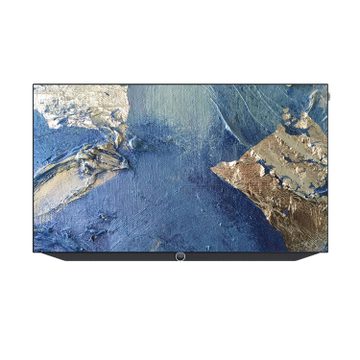 Loewe Bild v.65 dr+ --- 1