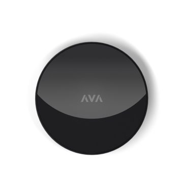 AVA Nano Brain --- 1