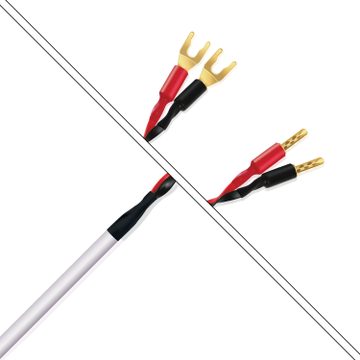 Wireworld Stream 10 STS 2.5m --- 1